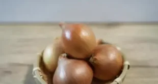 রিয়াজের দাম বৃদ্ধি