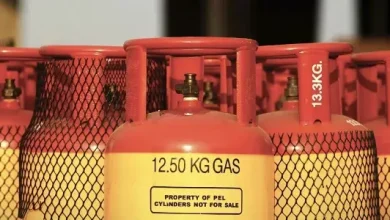 এলপিজি গ্যাসের দাম বৃদ্ধি